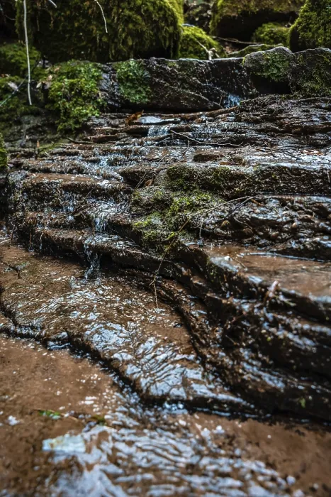 Gerahmter Druck : Bach im Wald, Schwarzwald. Gerahmter Druck : Bach im Wald, Schwarzwald.