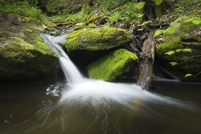 Gerahmter Druck : Ein kleiner Bach in einem Wald mit einem kleinen Wasserfall. Gerahmter Druck : Ein kleiner Bach in einem Wald mit einem kleinen Wasserfall.