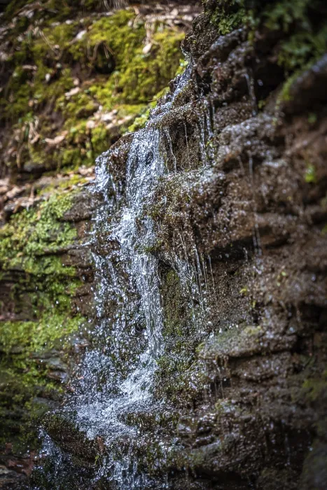 Gerahmter Druck : Kleiner Bach im Wald mit Wasserfall Gerahmter Druck : Kleiner Bach im Wald mit Wasserfall
