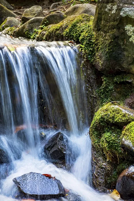 Gerahmter Druck : Kleinfluss und Wasserfall unter dem Moos. Gerahmter Druck : Kleinfluss und Wasserfall unter dem Moos.