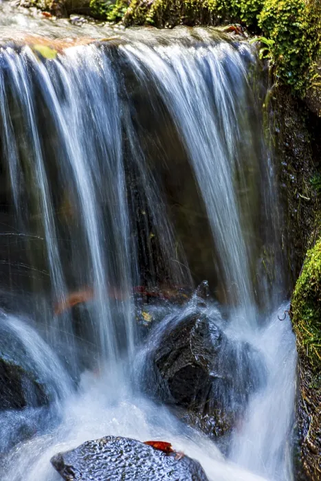 Gerahmter Druck : Kleiner Bach und Wasserfall unter dem Moos. Gerahmter Druck : Kleiner Bach und Wasserfall unter dem Moos.