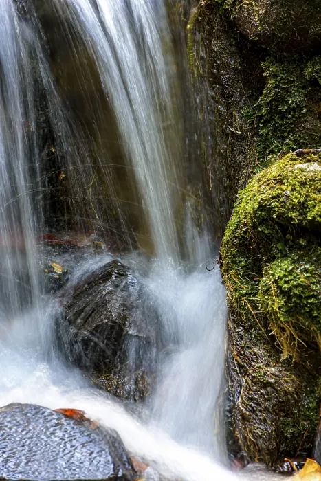 Gerahmter Druck : Kleiner Bach und Wasserfall unter dem Moos.