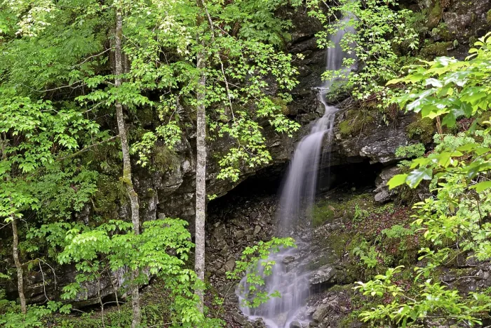 Gerahmter Druck : Wasserfall nach heftischem Regen im Schwarzwassertal Gerahmter Druck : Wasserfall nach heftischem Regen im Schwarzwassertal
