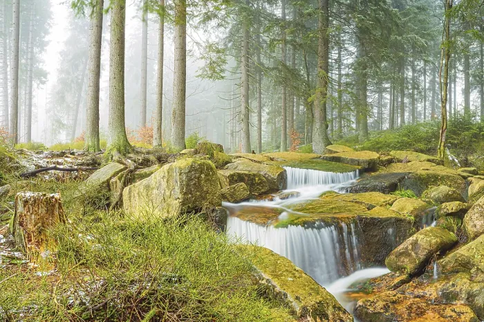 Gerahmter Druck : Kleiner Wasserfall, Kalte Bode, Harz Gerahmter Druck : Kleiner Wasserfall, Kalte Bode, Harz