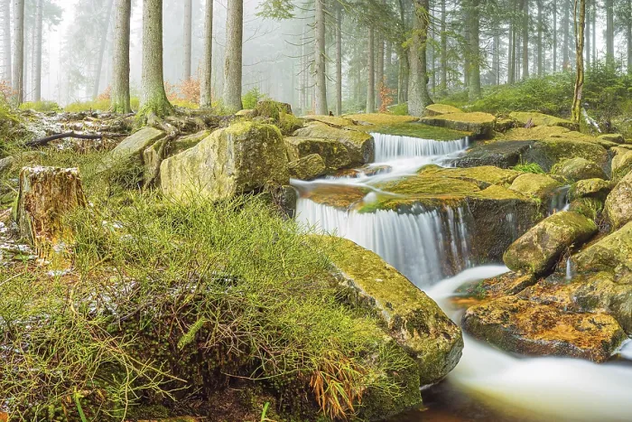 Gerahmter Druck : Kleiner Wasserfall, Kalte Bode, Harz Gerahmter Druck : Kleiner Wasserfall, Kalte Bode, Harz
