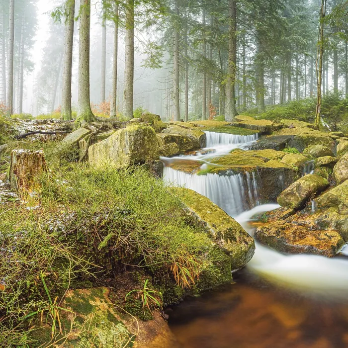 Gerahmter Druck : Kleiner Wasserfall, Kalte Bode, Harz Gerahmter Druck : Kleiner Wasserfall, Kalte Bode, Harz