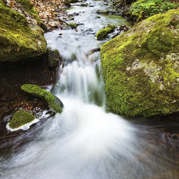 Gerahmter Druck : Kleiner Wasserfall im Urwald. Gerahmter Druck : Kleiner Wasserfall im Urwald.