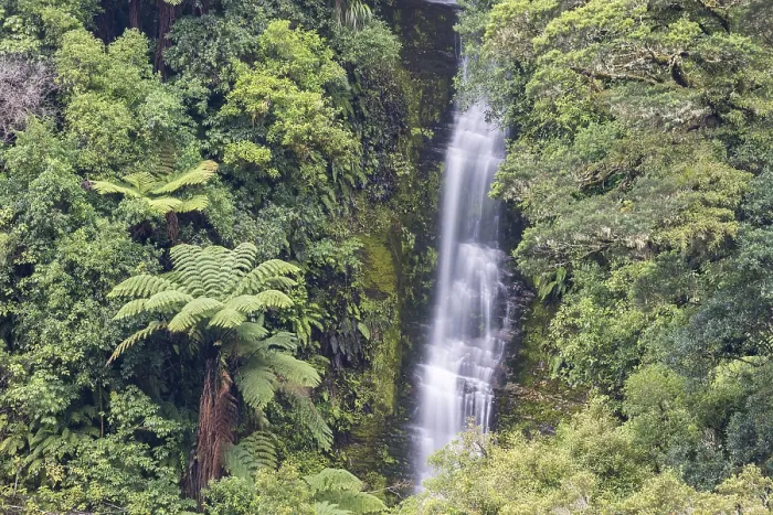 Gerahmter Druck : Kleiner Wasserfall in der Regenwald. Gerahmter Druck : Kleiner Wasserfall in der Regenwald.