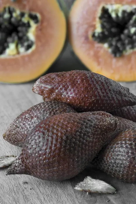 Gerahmter Druck : Schlangenfrucht Gerahmter Druck : Schlangenfrucht