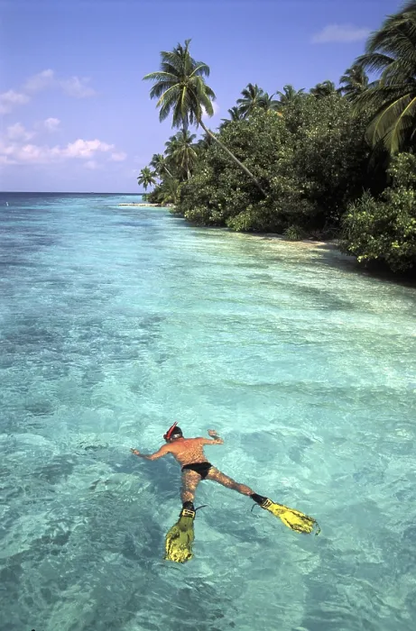 Gerahmter Druck : Snorkeling Gerahmter Druck : Snorkeling