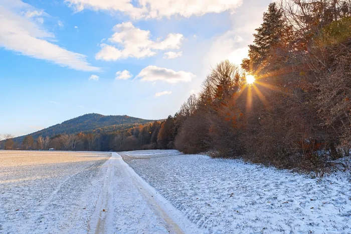 Gerahmter Druck : Schneeverkleideter Feldweg am Rande des Waldes. Gerahmter Druck : Schneeverkleideter Feldweg am Rande des Waldes.