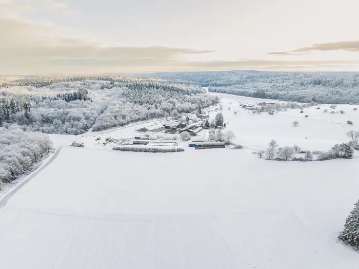 Gerahmter Druck : Schneefelder unter morgendlicher Licht. Gerahmter Druck : Schneefelder unter morgendlicher Licht.