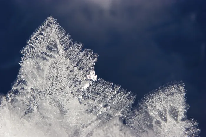 Gerahmter Druck : Schneekristalle Gerahmter Druck : Schneekristalle