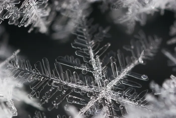 Gerahmter Druck : Schneekristalle Gerahmter Druck : Schneekristalle