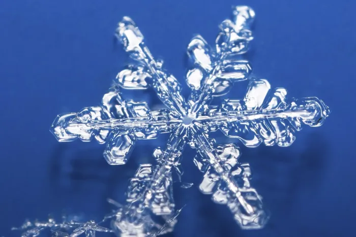 Gerahmter Druck : Schneekristalle Gerahmter Druck : Schneekristalle