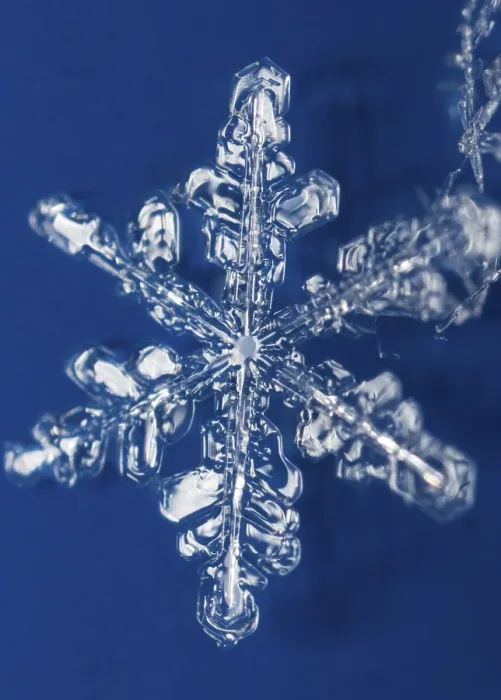 Gerahmter Druck : Schneekristalle Gerahmter Druck : Schneekristalle