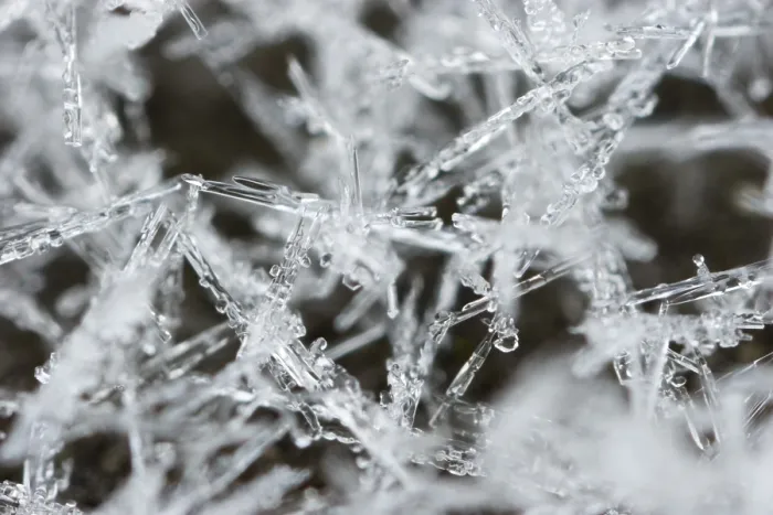 Gerahmter Druck : Schneekristalle Gerahmter Druck : Schneekristalle