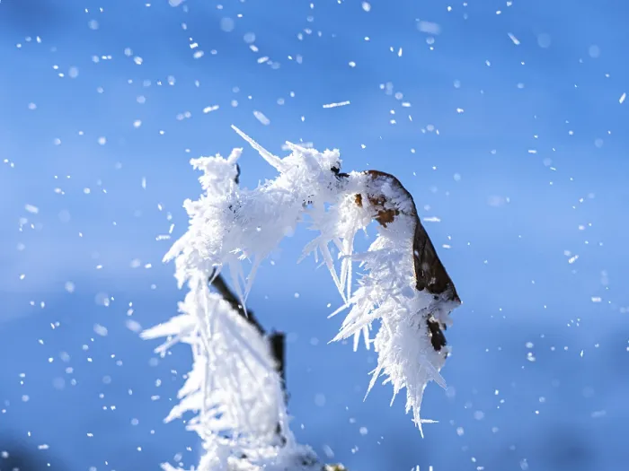 Gerahmter Druck : Schnee, Eis, Blitz-Eis, Makro. Gerahmter Druck : Schnee, Eis, Blitz-Eis, Makro.