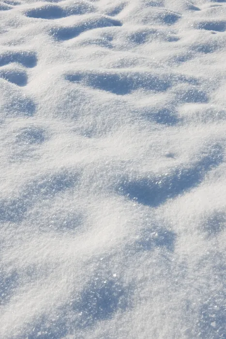 Gerahmter Druck : Schnee in einem Wiesengrund Gerahmter Druck : Schnee in einem Wiesengrund