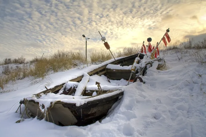 Gerahmter Druck : Snowed. Verschneit Gerahmter Druck : Snowed. Verschneit