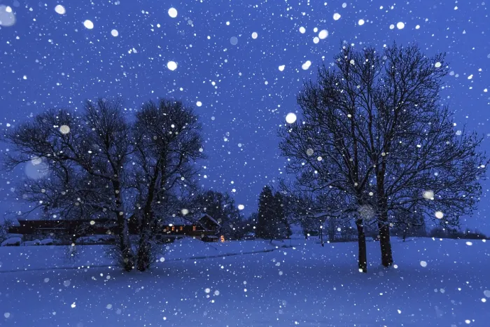 Gerahmter Druck : Schneeflocken, Schneefall, Dämmerung. Gerahmter Druck : Schneeflocken, Schneefall, Dämmerung.