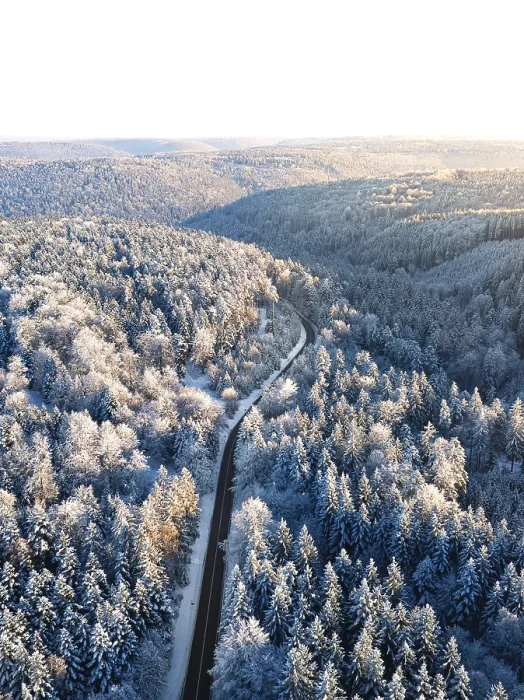 Gerahmter Druck : Schneeverweg windet sich durch einen winterlichen Wald.