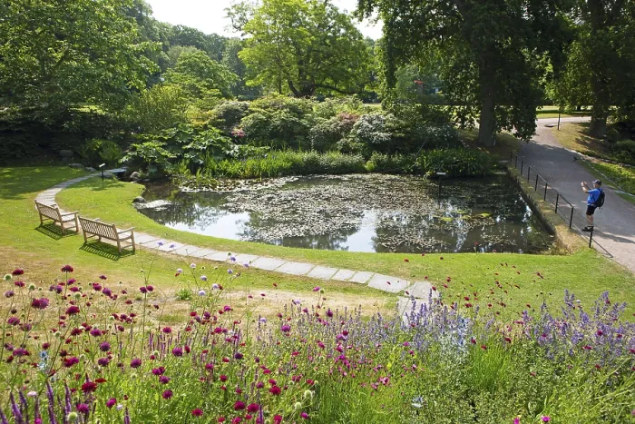 Gerahmter Druck : Sofiero-Schloss und -Gärten, Helsingborg Gerahmter Druck : Sofiero-Schloss und -Gärten, Helsingborg