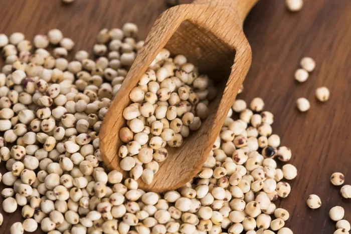 Gerahmter Druck : Sorghum, Reis Gerahmter Druck : Sorghum, Reis