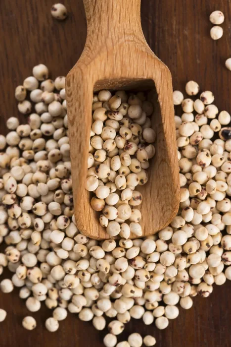 Gerahmter Druck : Sorghum, Reis Gerahmter Druck : Sorghum, Reis