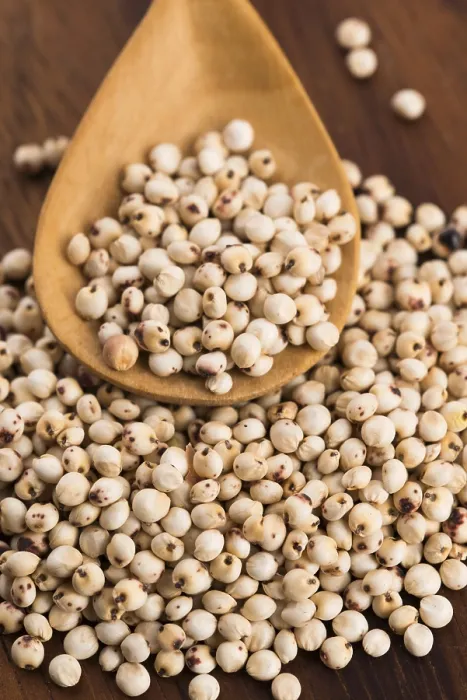 Gerahmter Druck : Sorghum, Reis Gerahmter Druck : Sorghum, Reis
