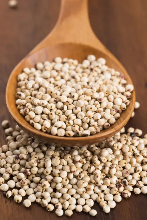 Gerahmter Druck : Sorghum, Reis Gerahmter Druck : Sorghum, Reis