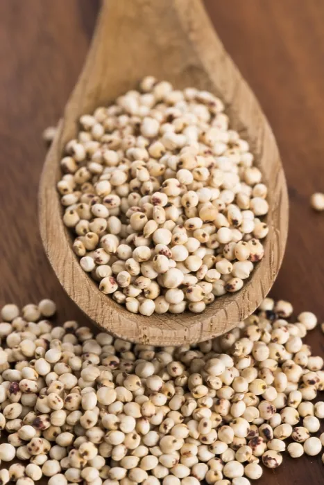 Gerahmter Druck : Sorghum, Reis Gerahmter Druck : Sorghum, Reis