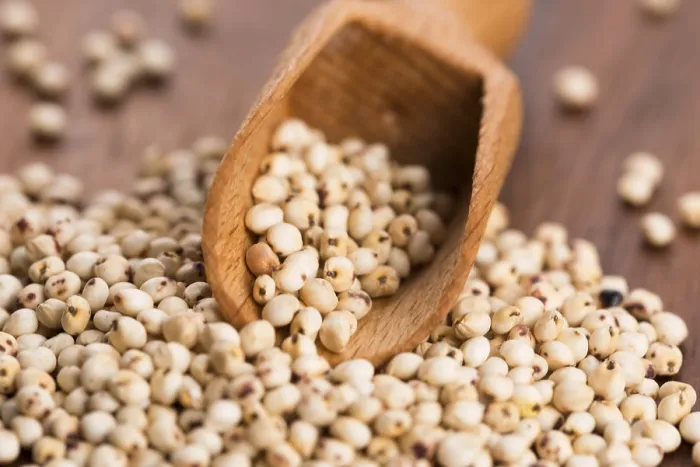 Gerahmter Druck : Sorghum, Reis