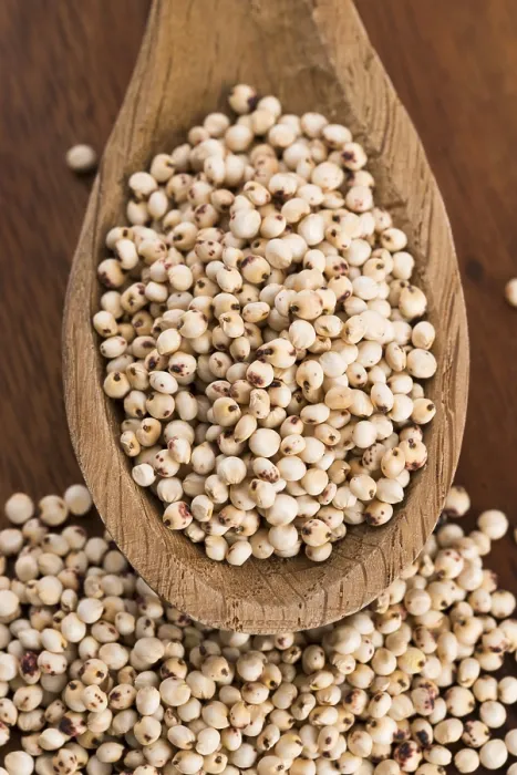 Gerahmter Druck : Sorghum, Reis Gerahmter Druck : Sorghum, Reis