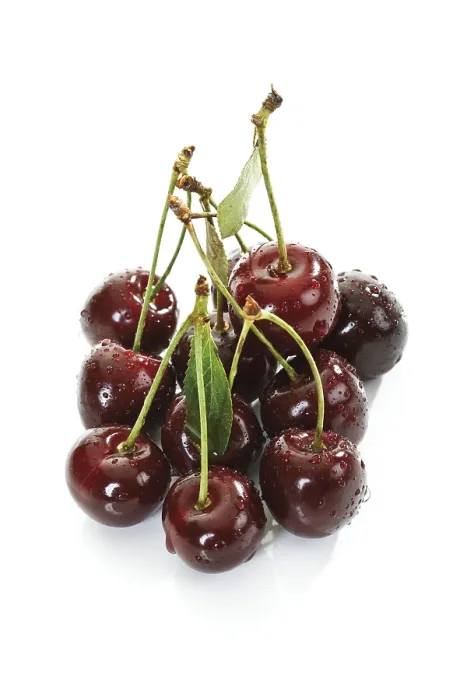 Gerahmter Druck : Sour cherries Gerahmter Druck : Sour cherries