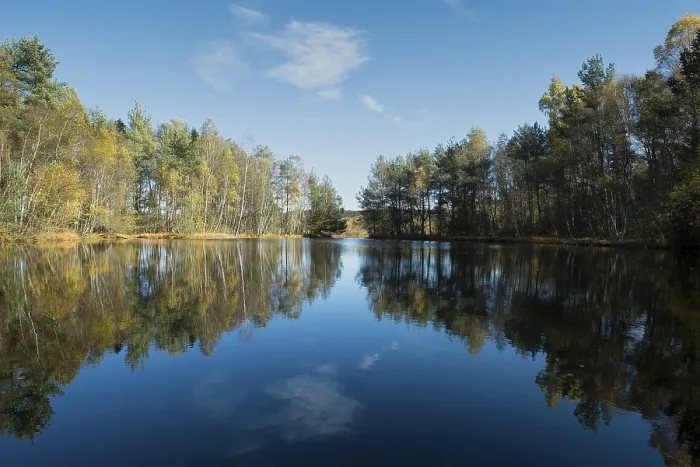 Gerahmter Druck : Der Quell der Neckar Gerahmter Druck : Der Quell der Neckar