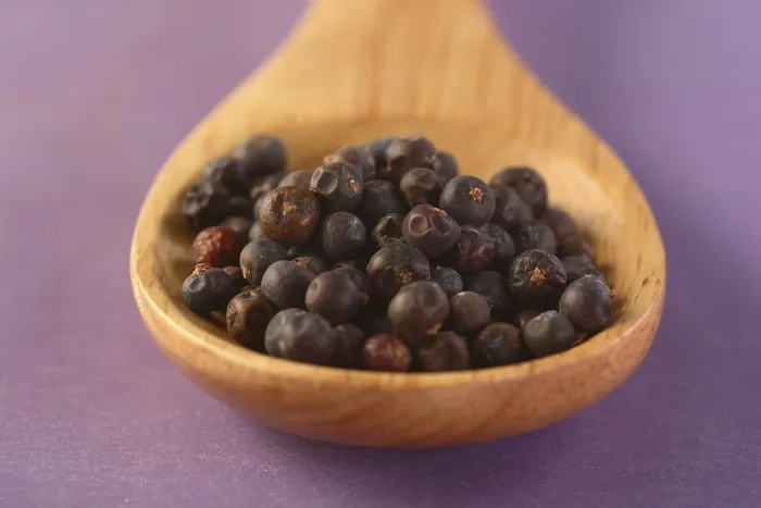 Gerahmter Druck : Löffel mit Wacholderbeeren. Gerahmter Druck : Löffel mit Wacholderbeeren.
