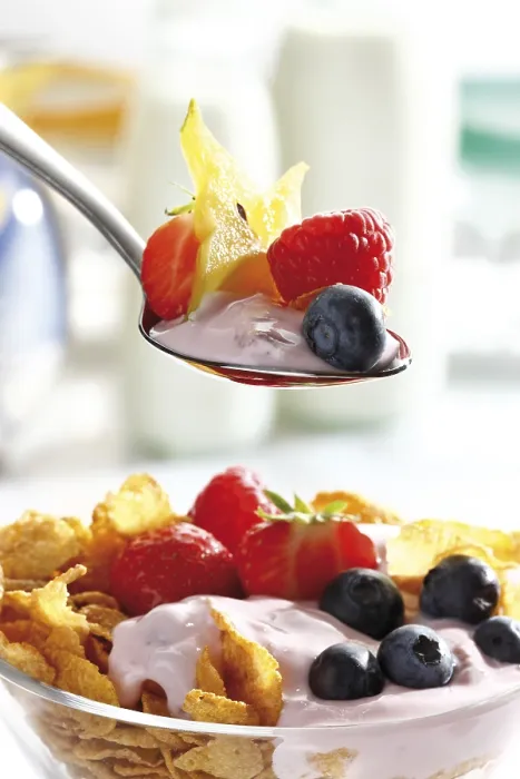 Gerahmter Druck : Löffel mit Joghurt und Früchten. Gerahmter Druck : Löffel mit Joghurt und Früchten.