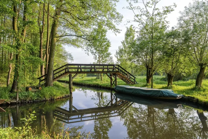Gerahmter Druck : Spreewald Gerahmter Druck : Spreewald