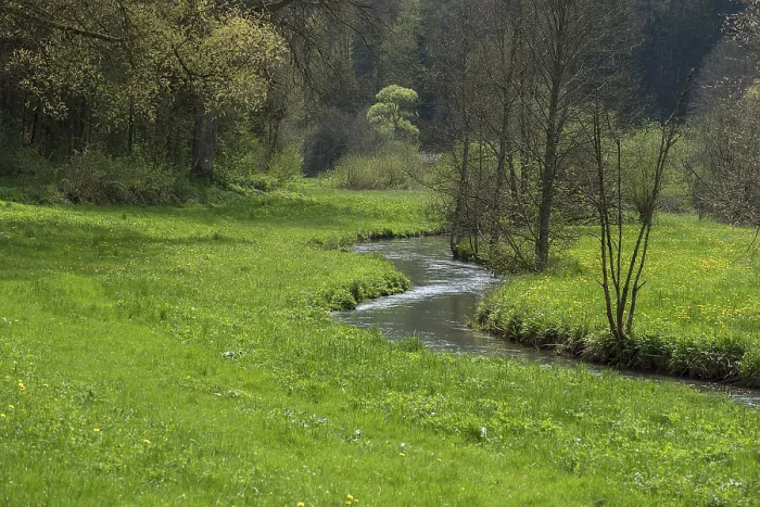 Gerahmter Druck : Frühling im Aufseßtal Gerahmter Druck : Frühling im Aufseßtal