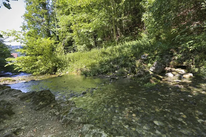 Gerahmter Druck : Quellbecken der Echaz, Echazquelle