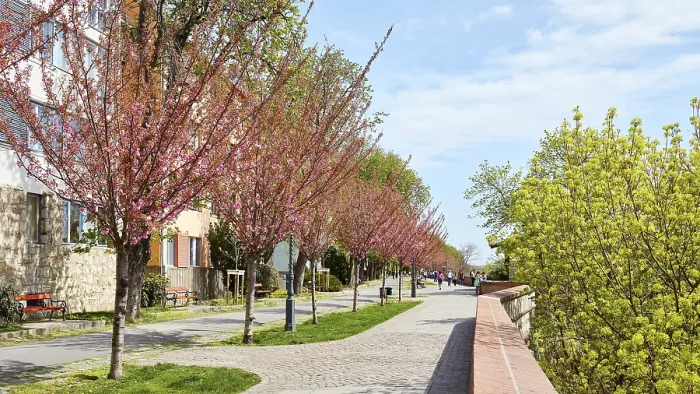 Gerahmter Druck : Frühling, Budapest, Ungarn Gerahmter Druck : Frühling, Budapest, Ungarn