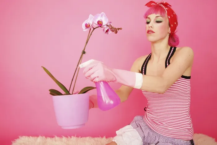 Gerahmter Druck : Frühlingsputz in rosa. Gerahmter Druck : Frühlingsputz in rosa.