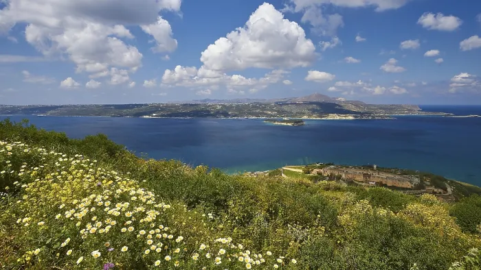 Gerahmter Druck : Frühling in Kreta, Frühlingswiese. Gerahmter Druck : Frühling in Kreta, Frühlingswiese.