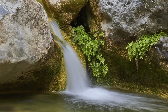 Gerahmter Druck : Frühling in Kreta, Bächlein, Kleiner Wasserfall Gerahmter Druck : Frühling in Kreta, Bächlein, Kleiner Wasserfall
