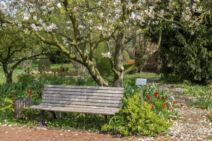 Gerahmter Druck : Frühling im Bezirkslehrgarten Gerahmter Druck : Frühling im Bezirkslehrgarten