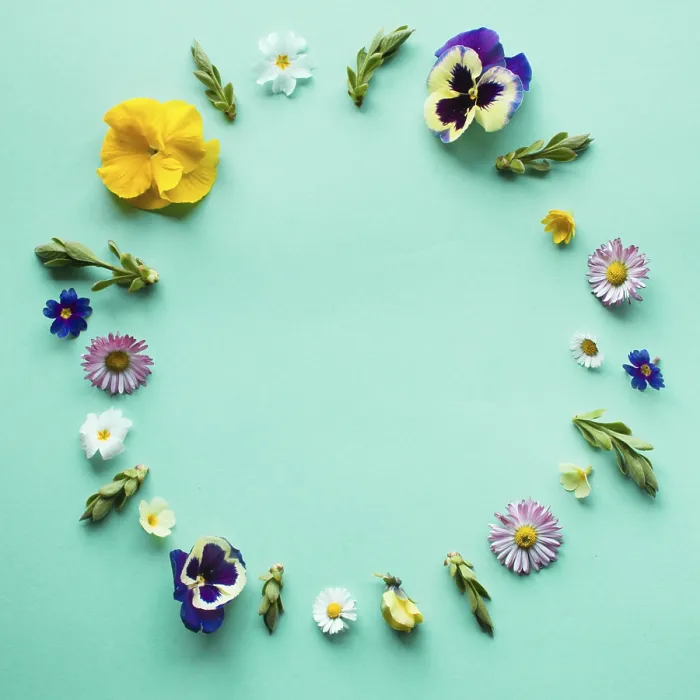 Gerahmter Druck : Frühlingsblumen umrunden den Rahmen. Gerahmter Druck : Frühlingsblumen umrunden den Rahmen.