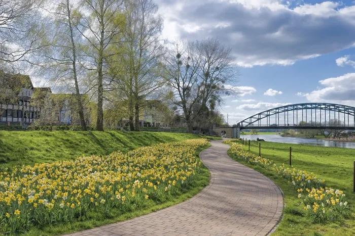 Gerahmter Druck : Frühlingsblumen, Radweg entlang der Weser. Gerahmter Druck : Frühlingsblumen, Radweg entlang der Weser.