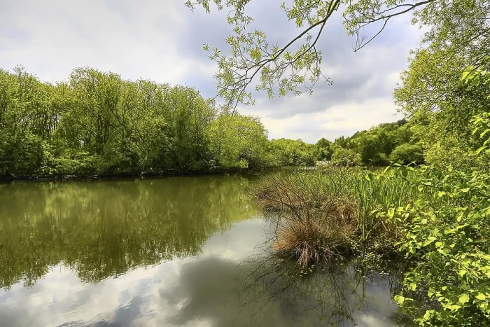Gerahmter Druck : Frühlingssee