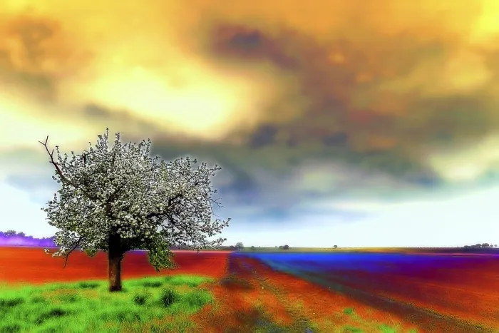 Gerahmter Druck : Frühlingslandschaft Gerahmter Druck : Frühlingslandschaft